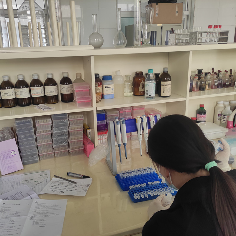 我公司非洲豬瘟檢測(cè)儀在臨汾市食品公司使用