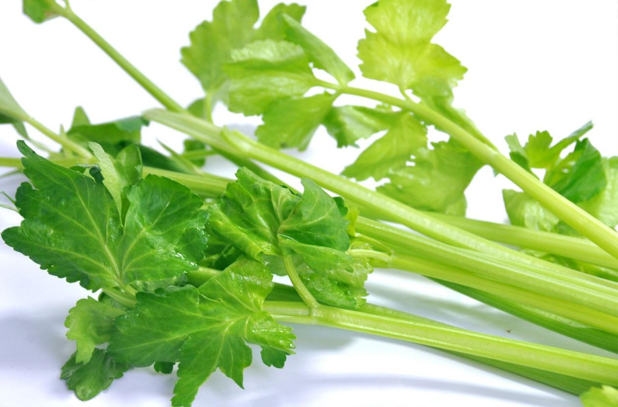 蔬菜是個(gè)寶，這些部位也更好！