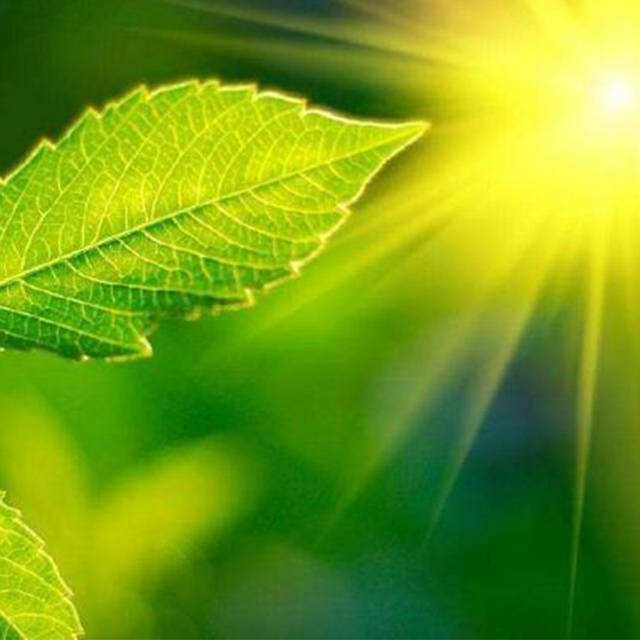 便攜式光合作用測定儀操作注意事項(xiàng) 便攜式光合作用測定儀操作注意事項(xiàng)